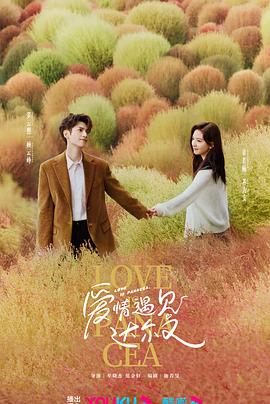 seo优化效果怎么排名